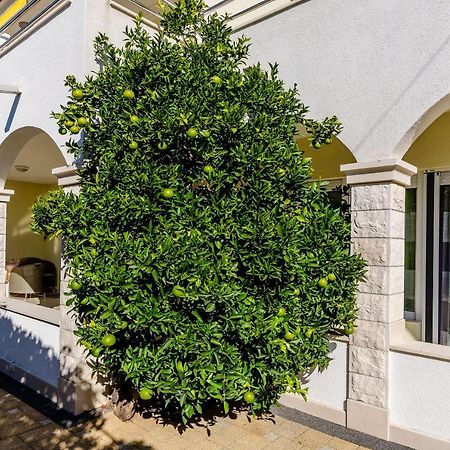 Apartments Palm Tree Trogir Ngoại thất bức ảnh